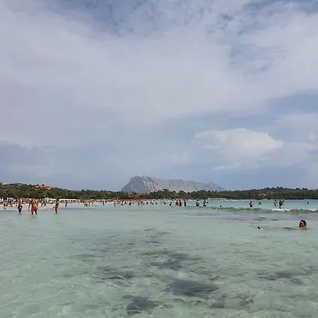Sardinia -appartamento Indipendente A * Tanaunella